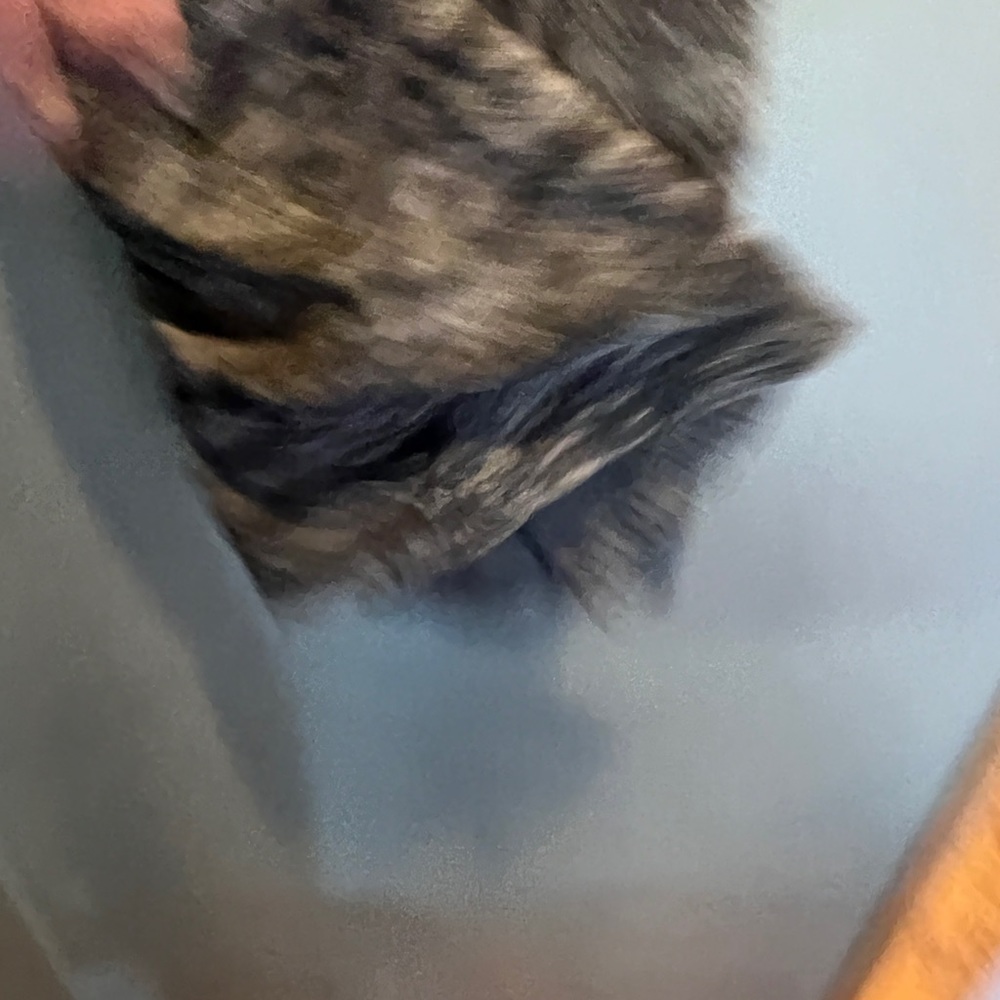 Lululemon Swiftly Tech Tank - image 4